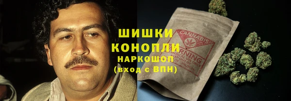 гидра Арсеньев