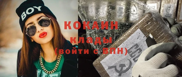 гидра Арсеньев